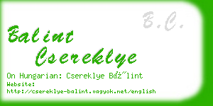 balint csereklye business card